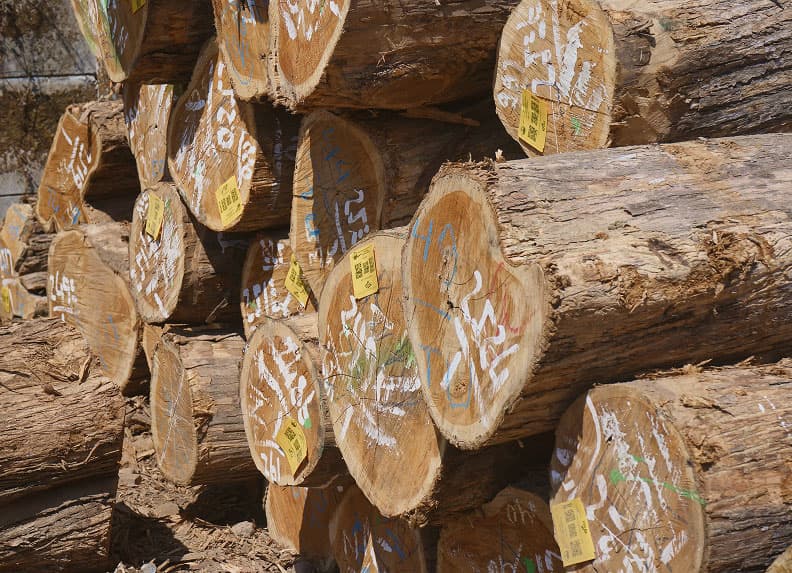 Trust-building, credible, and grounded